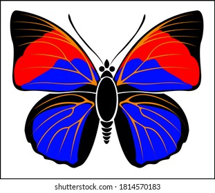 Black, Red and Blue colored Leafwing Butterfly - vector illustration art