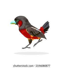 Black and Red  broadbill bird vector illustartion