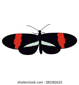 Black and red butterfly flying vector illustration.Butterfly isolated. Tropical butterfly