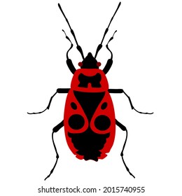 Black and red classic colored firebug vector illustration, viewed from above, with transparent background.