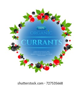Black and red currant round frame isolated on white background. Vector high quality realistic illustration. Berries with leaves label for packaging design layout of juice or jam