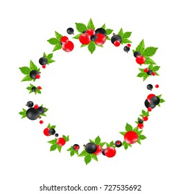 Black and red currant round frame isolated on white background. Vector high quality realistic illustration. Berries with leaves label for packaging design layout of juice or jam