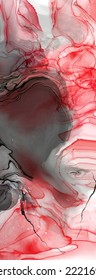 Black red ink brush stroke on white background. Design element. Vector illustration of grunge wave stains. Vector brushes illustration.