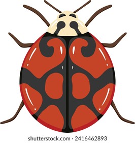 Black and Red Ladybug Illustration
