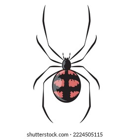 black and red spider, spider close-up, big scary spider isolated on white, poisonous insect, arachnophobia background, spider vector icon