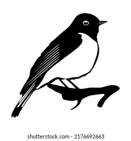 11,077 Redstart bird Images, Stock Photos & Vectors | Shutterstock