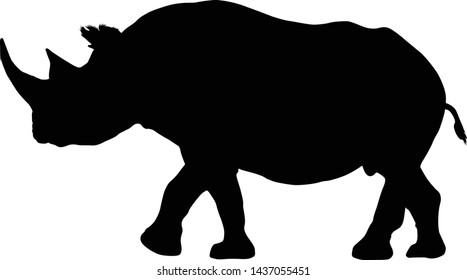 Black Rhinoceros, Diceros Bicornis, Silhouette, Eastern Africa And South Africa