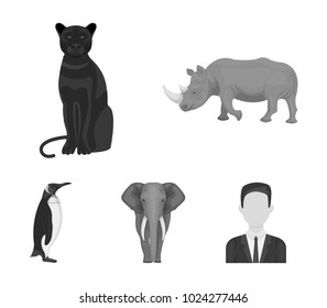 Black rhinoceros, panther wild cat, African animal elephant, imperial penguin. Wild animals set collection icons in monochrome style vector symbol stock illustration web.