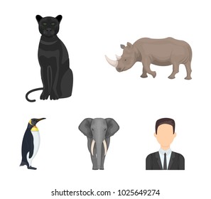 Black rhinoceros, panther wild cat, African animal elephant, imperial penguin. Wild animals set collection icons in cartoon style vector symbol stock illustration web.