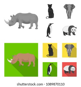 Black rhinoceros, panther wild cat, African animal elephant, imperial penguin. Wild animals set collection icons in monochrome,flat style vector symbol stock illustration web.