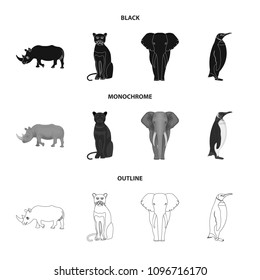 Black rhinoceros, panther wild cat, African animal elephant, imperial penguin. Wild animals set collection icons in black,monochrome,outline style vector symbol stock illustration web.