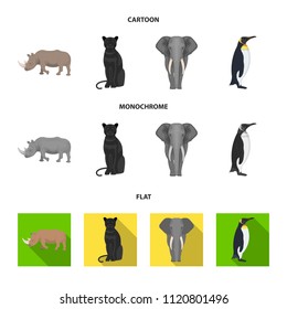 Black rhinoceros, panther wild cat, African animal elephant, imperial penguin. Wild animals set collection icons in cartoon,flat,monochrome style vector symbol stock illustration web.