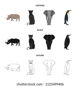 Black rhinoceros, panther wild cat, African animal elephant, imperial penguin. Wild animals set collection icons in cartoon,black,outline style vector symbol stock illustration web.