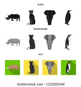Black rhinoceros, panther wild cat, African animal elephant, imperial penguin. Wild animals set collection icons in black, flat, monochrome style vector symbol stock illustration web.