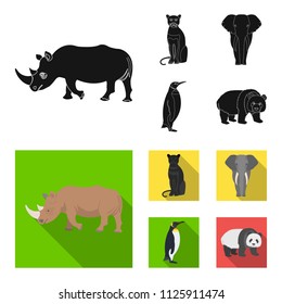Black rhinoceros, panther wild cat, African animal elephant, imperial penguin. Wild animals set collection icons in black,flat style vector symbol stock illustration web.