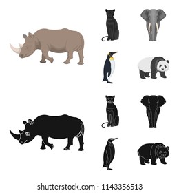 Black rhinoceros, panther wild cat, African animal elephant, imperial penguin. Wild animals set collection icons in cartoon,black style vector symbol stock illustration web.