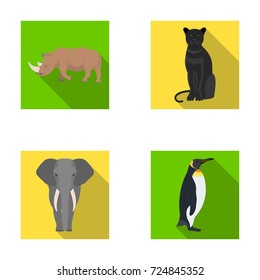 Black rhinoceros, panther wild cat, African animal elephant, imperial penguin. Wild animals set collection icons in flat style vector symbol stock illustration web.