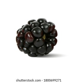 Black ripe beautiful blackberry. 3d vector illustration