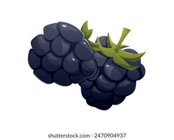 Black ripe blackberries. Vector isolated cartoon illustration.