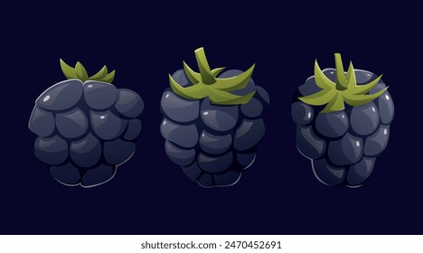 Black ripe blackberries. Vector set of isolated cartoon illustration.