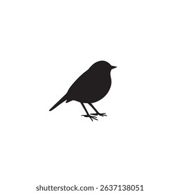 Black Robin Beautiful Bird Image