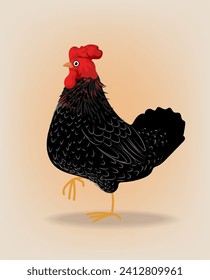 Black rooster, cock hand drawn  character poultry farm animal vector illustration.