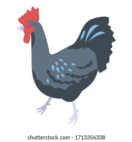 Black rooster icon. Isometric of black rooster vector icon for web design isolated on white background