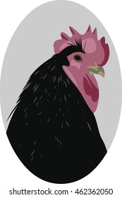 Black rooster with red crest looking one eye over the shoulder new year symbol isolated illustration
