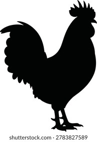 Black rooster silhouette isolated vector icon