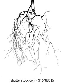 Black root system - vector set