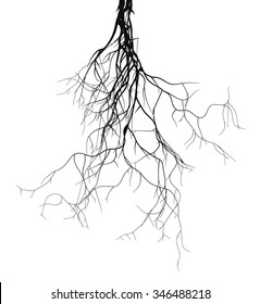 Black Root System - Vector Set