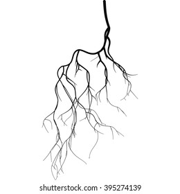 Black root system - vector set