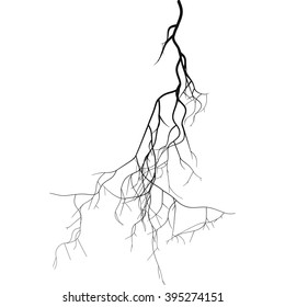Black root system - vector set