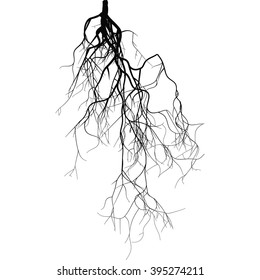 Black Root System - Vector Set