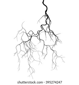 Black root system - vector set