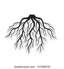 Black Roots. Vector Illustration.