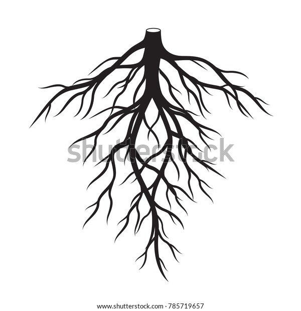 Black Roots Vector Illustration Stock Vector (Royalty Free) 785719657