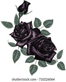 Black rose  for card  design - Vector art