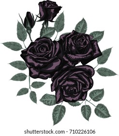 Black rose  for card  design - Vector art