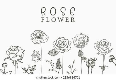 Colección de rosas negras con fondo de hojas para tarjeta de saludo