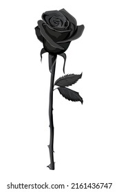 black rose flower vector design
