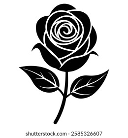 black rose flower vector illustration 