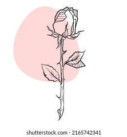 411 Thorn roses circle Images, Stock Photos & Vectors | Shutterstock