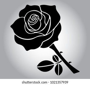 Black Rose With Grey Gradient Background