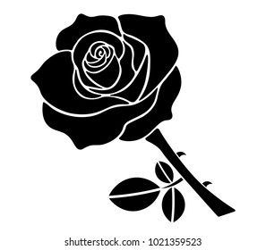 Black Rose and Leaves on White Background