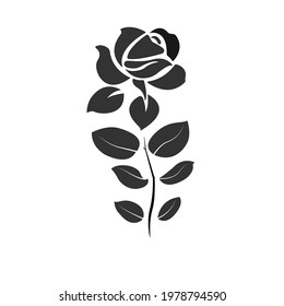 Black Rose with leaves vector Image isolated on white background