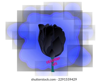 Rosa negra en un fondo azul.  La rosa negra simboliza la muerte y el renacimiento en un fondo azul que simboliza la libertad.