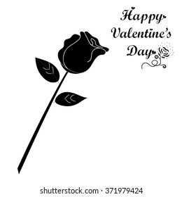 Black rose on white background