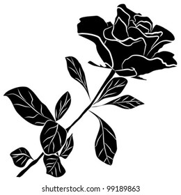 black rose silhouette - freehand on a white background, vector illustration