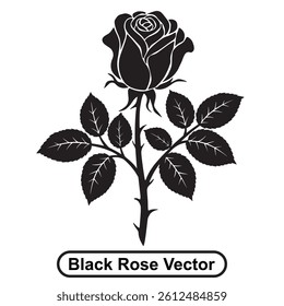 Black rose vector illustration on white background, silhouette